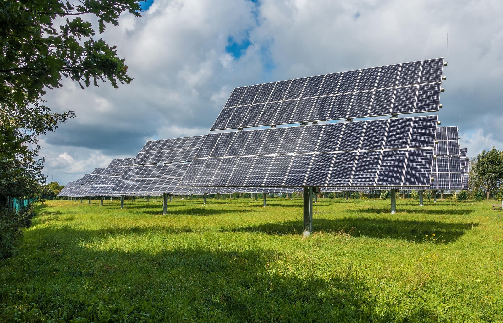 Solar panels in green field
